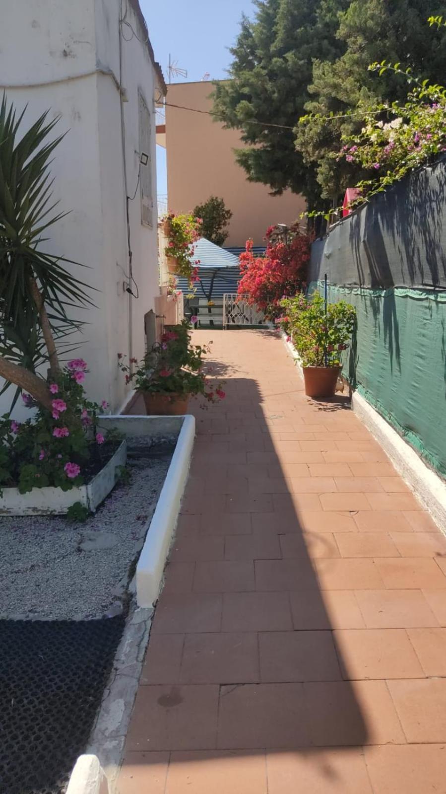 Garden Green Da Virna Torre Annunziata Zewnętrze zdjęcie