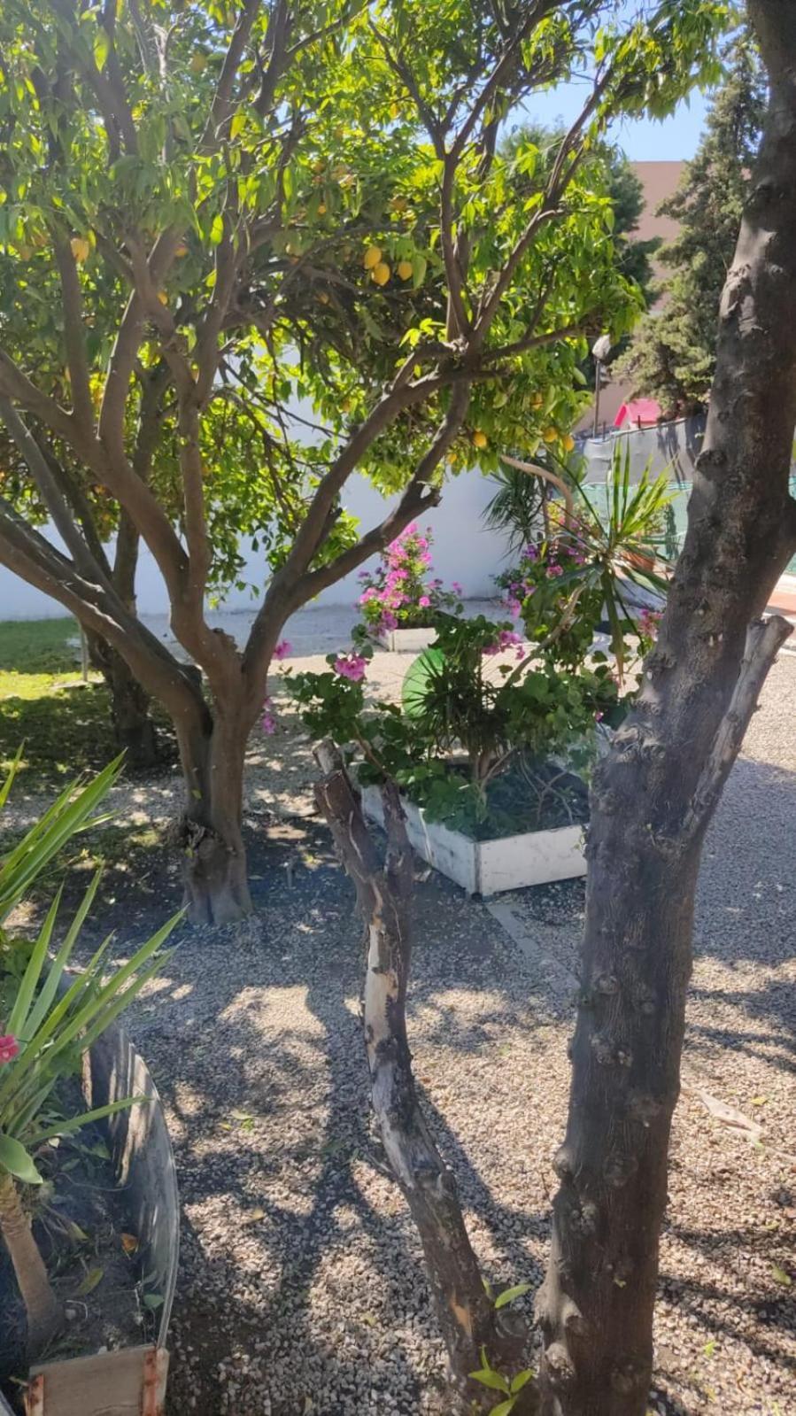 Garden Green Da Virna Torre Annunziata Zewnętrze zdjęcie