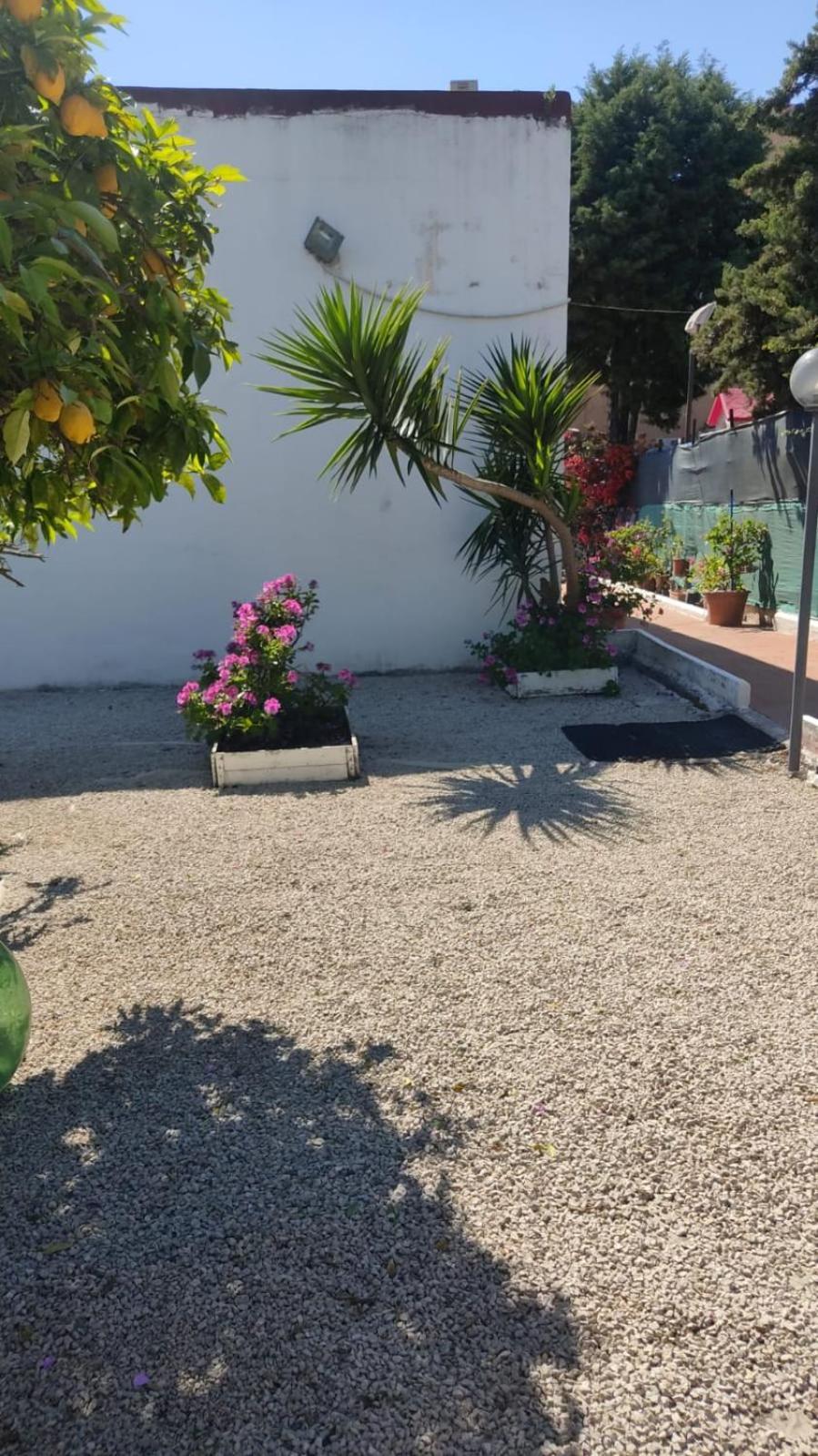 Garden Green Da Virna Torre Annunziata Zewnętrze zdjęcie