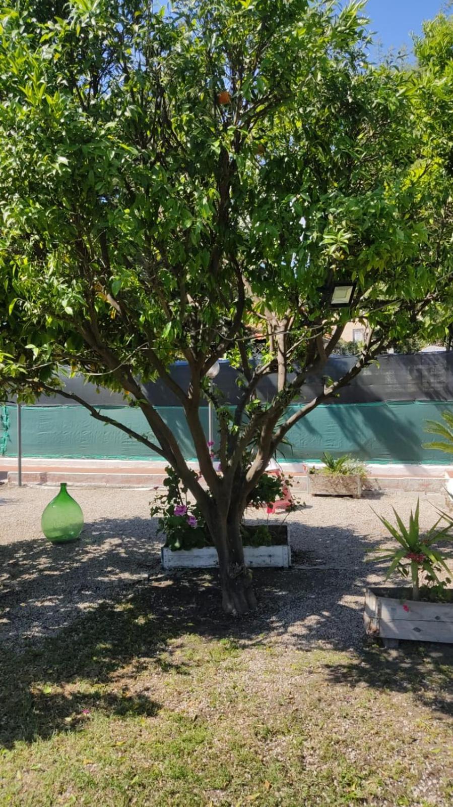 Garden Green Da Virna Torre Annunziata Zewnętrze zdjęcie