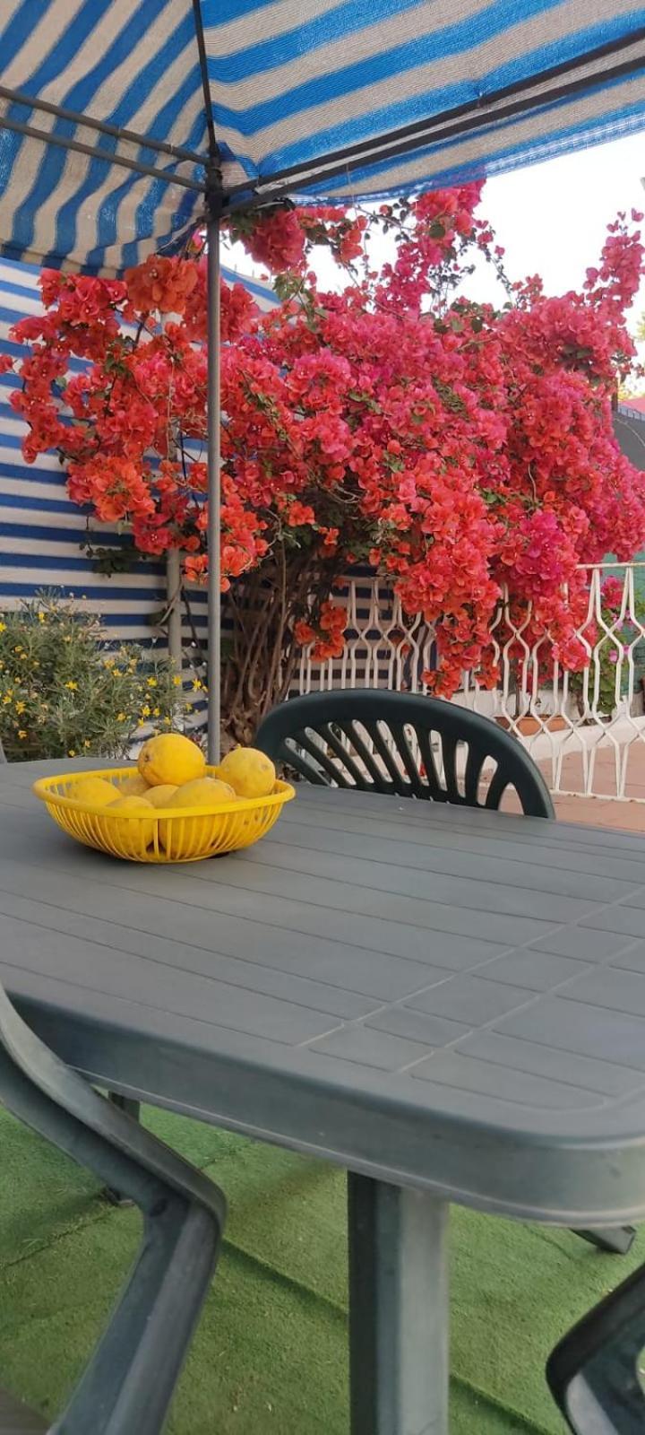Garden Green Da Virna Torre Annunziata Zewnętrze zdjęcie