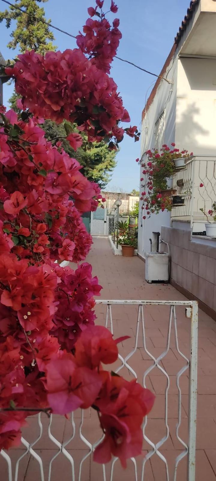 Garden Green Da Virna Torre Annunziata Zewnętrze zdjęcie