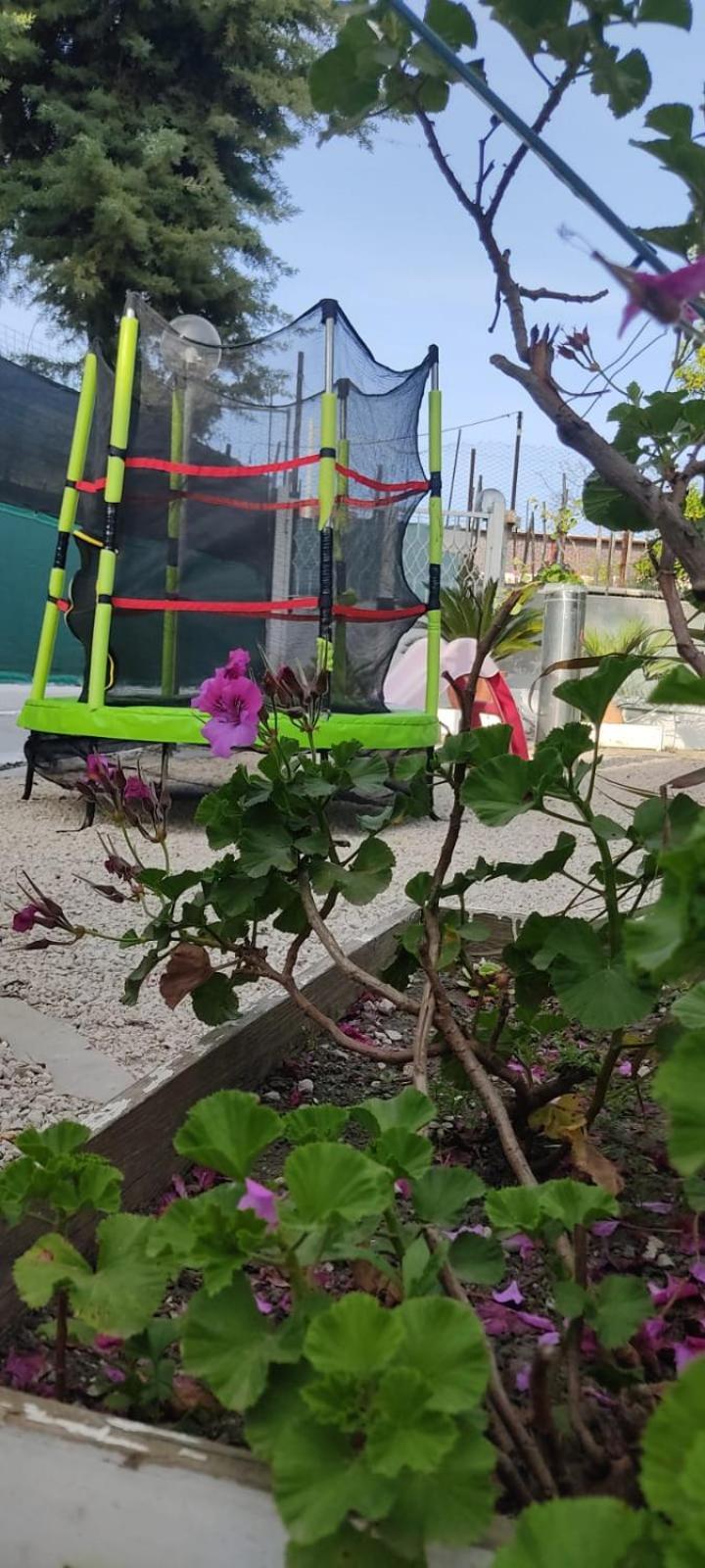 Garden Green Da Virna Torre Annunziata Zewnętrze zdjęcie