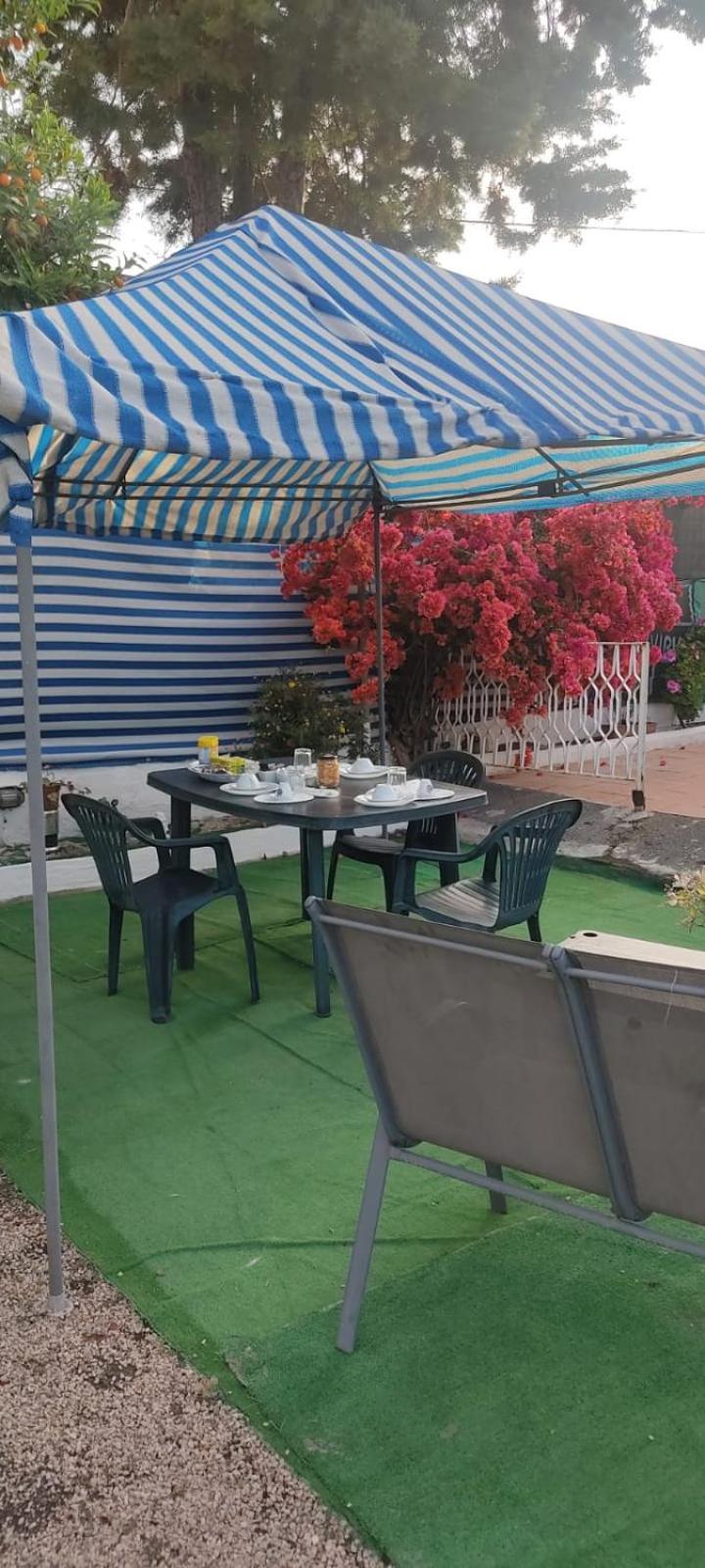 Garden Green Da Virna Torre Annunziata Zewnętrze zdjęcie