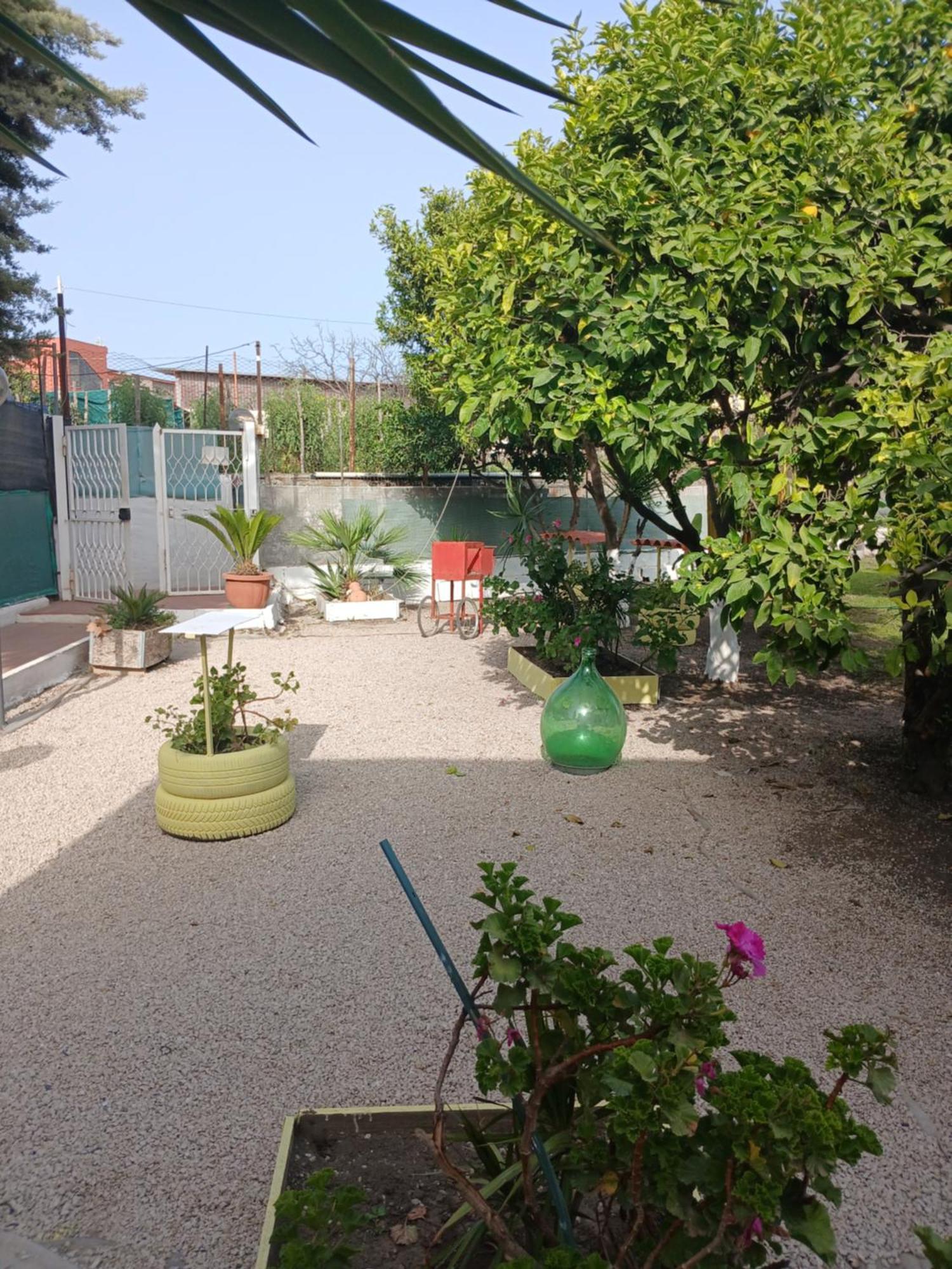 Garden Green Da Virna Torre Annunziata Zewnętrze zdjęcie